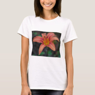 T-shirts Lindos Artigos e Presentes de Hemerocallis Cor de