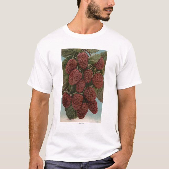 T-shirts Litografia de Chromo da fruta de LoganberriesState (Frente)