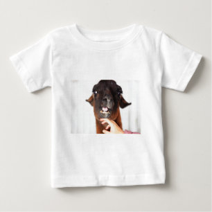 T-shirts Llama Love