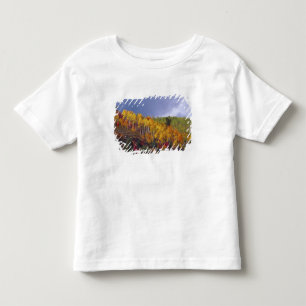 T-shirts Logan Canyon em Utah no outono com passagem