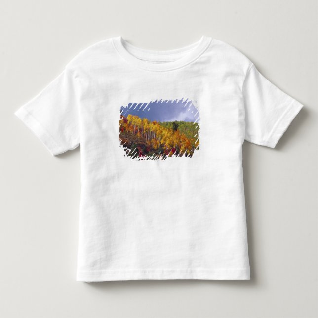 T-shirts Logan Canyon em Utah no outono com passagem (Frente)