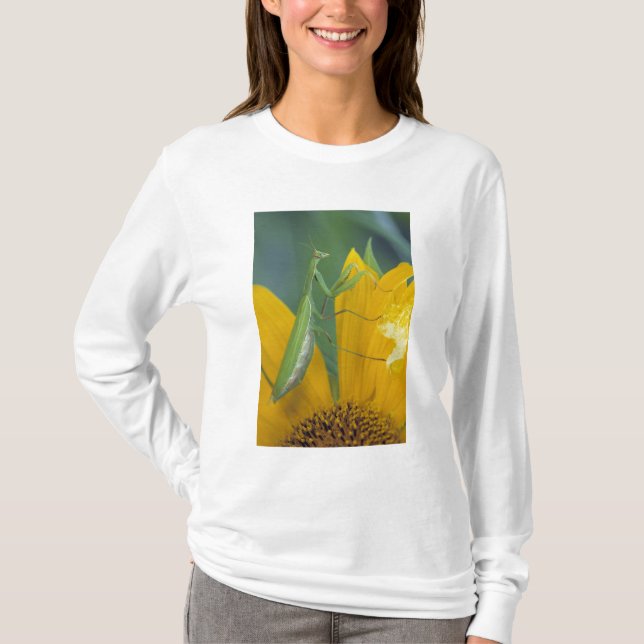 T-shirts Louva-a-deus fêmea (Frente)