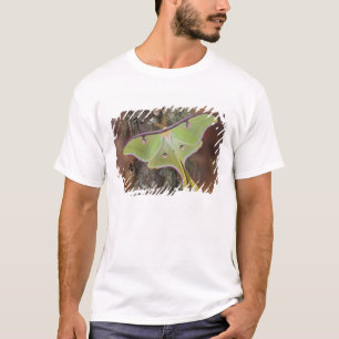 T-shirts Luna Silk Moth