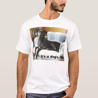 T-shirts Lunk, é a vida de um cão