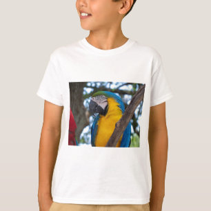 T-shirts Maca tropical verde-amarela e azul