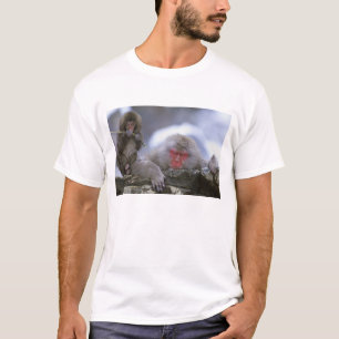 T-shirts Macaco da Neve Mãe e Filho, Jigokudani, Nagano,
