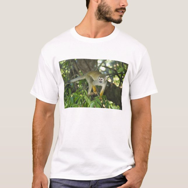 T-shirts Macaco-de-cheiro-comum, (Saimiri sciureus), Rio (Frente)