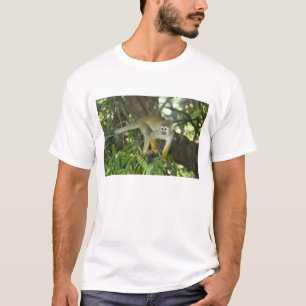 T-shirts Macaco-Esquilo-Comum (Saimiri sciureus), Rio