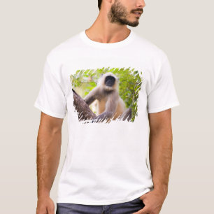 T-shirts Macaco na selva do Parque Nacional de Ranthambore