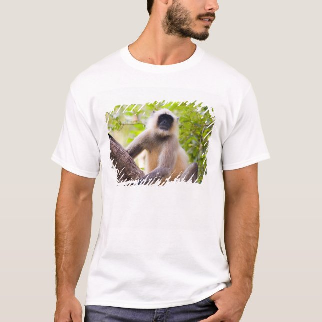 T-shirts Macaco na selva do Parque Nacional de Ranthambore (Frente)