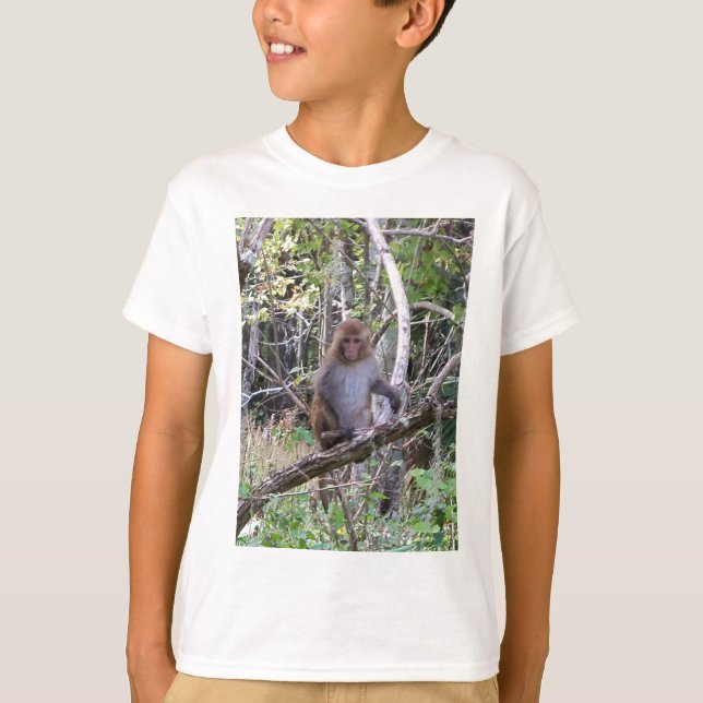 T-shirts macaco rhesus (Frente)