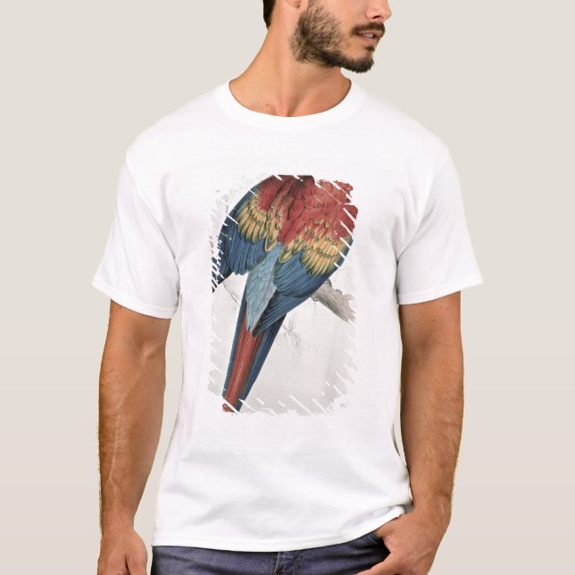 T-shirts Macaw vermelho e amarelo (Frente)