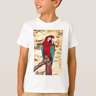 T-shirts Macaw vermelho e verde