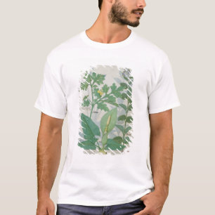 T-shirts Maior Celandine ou papoila
