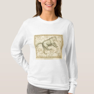 T-shirts Major de Ursa