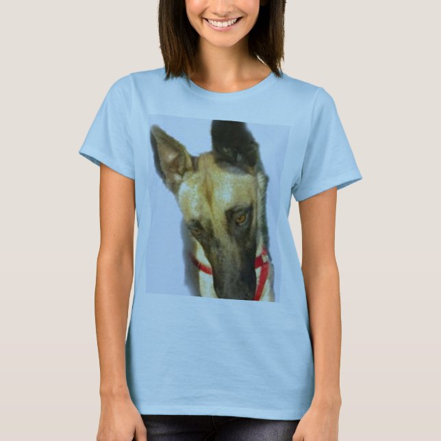 T-shirts Malanois belgas (Frente)