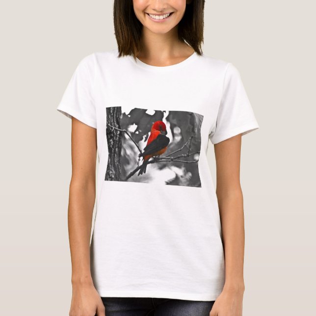 T-shirts Male Scarlet Tanager (Frente)