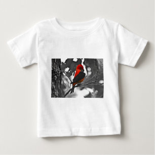 T-shirts Male Scarlet Tanager