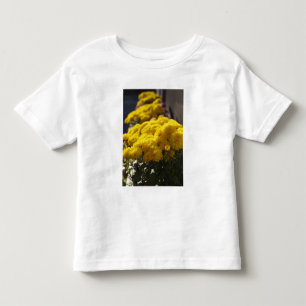 T-shirts Malmequeres amarelos se banham na luz do sol