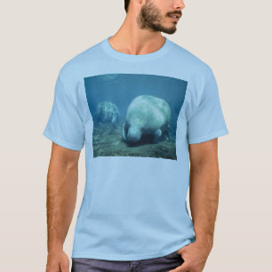 T-shirts Manatê