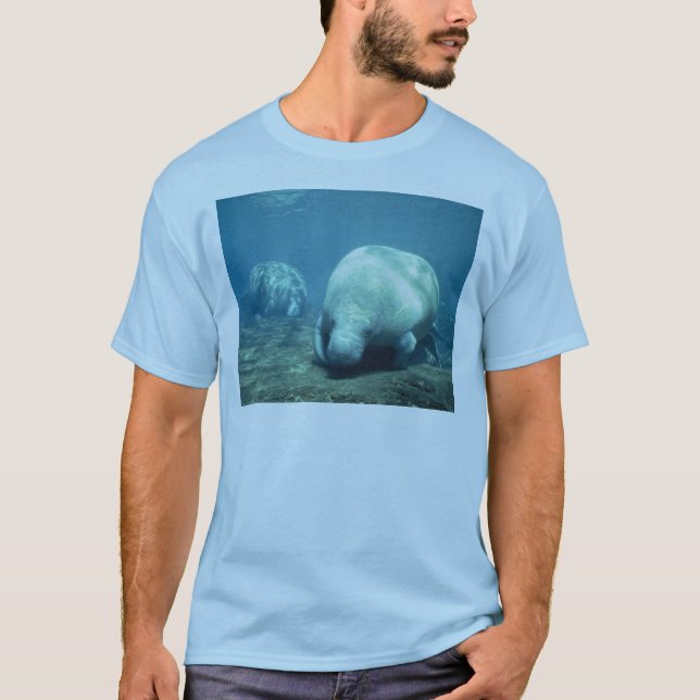 T-shirts Manatee (Frente)