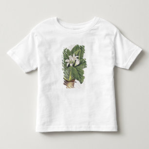 T-shirts Mandragora da atropa