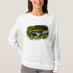 T-shirts Mantela-de-orelha-preta, Mantella expectata,