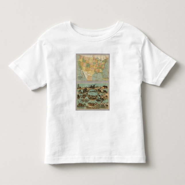 T-shirts Mapa dos Estados Unidos da América 2 (Frente)