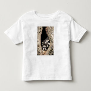 T-shirts Mapeh guaxinins em cavidade de árvore Procyon