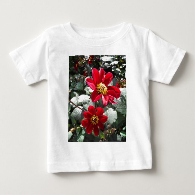 T-shirts margarida rosa-vermelha / flores das margaridas (Frente)
