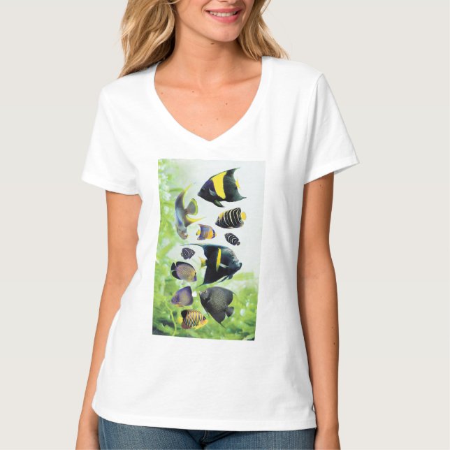 T-shirts Marine Angelfishes (Frente)