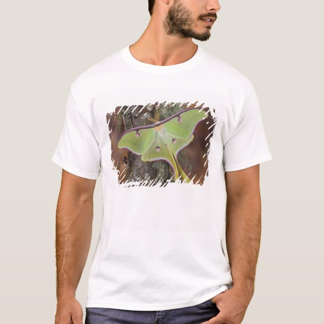 T-shirts Mariposa-da-lua (Frente)