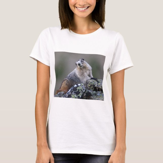 T-shirts marmota (Frente)