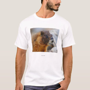 T-shirts Marmota