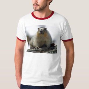 T-shirts Marmota inchada amarelo