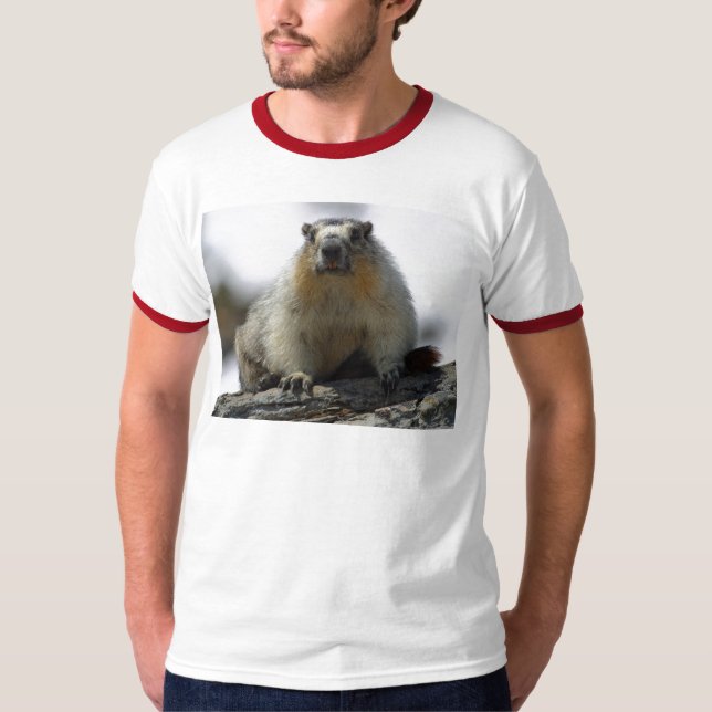 T-shirts Marmota inchada amarelo (Frente)