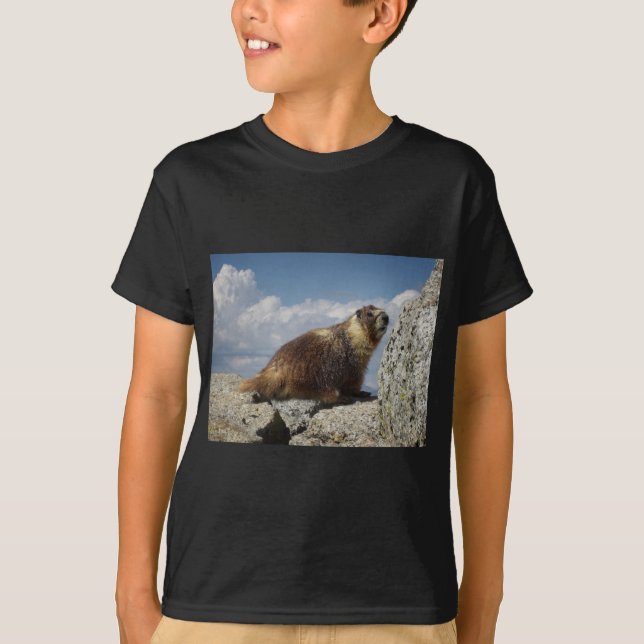 T-shirts Marmote Amarelo-Marmorta em Yosemite (Frente)