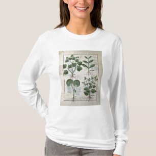 T-shirts Marshmallow & Hastula Regia Asarabacca &