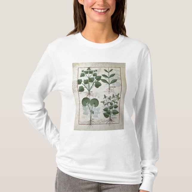 T-shirts Marshmallow & Hastula Regia Asarabacca & (Frente)