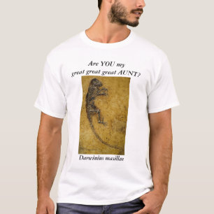 T-shirts Masillae de Darwinius