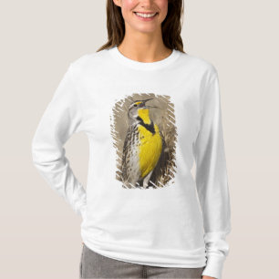 T-shirts Meadowlark ocidental (neglecta de Strunella)
