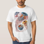 T-shirts Medusa Antiga por Ernst Haeckel, Discomedusae<br><div class="desc">Ilustração antiga de design de biologia da vida marinha por Ernst Haeckel. Uma variedade de animais coloridos de águas-vivas nadando nas águas do mar. Águas-vivas são animais aquáticos de natação livre com um corpo em forma de guarda-chuva e longos tentáculos. Eles podem ser encontrados em todos os oceanos e alguns...</div>