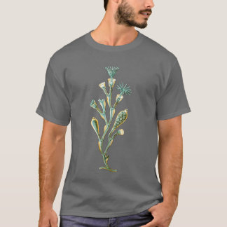 T-shirts Medusa - geniculata de Obelia