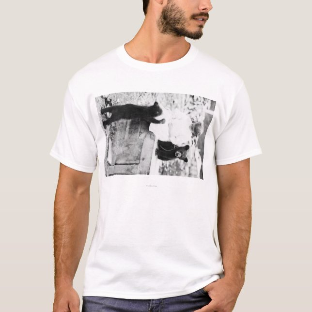 T-shirts Menina que joga com urso Cub em Seward (Frente)