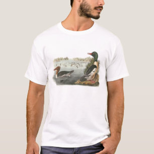 T-shirts Merganso comum por Audubon