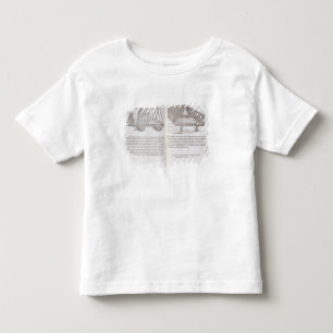 T-shirts Métodos de transportar telhados pré-fabricados a