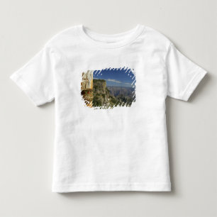 T-shirts México, Chihuahua, Canyon de Cobre. Vista desde