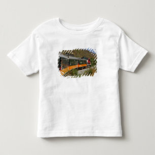 T-shirts México, Chihuahua, Copper Canyon. Vistas desde