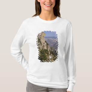 T-shirts México, Estado de Chihuahua, Copper Canyon. ESTE 2