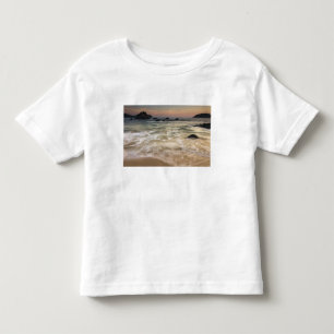 T-shirts México, Guerrero, Zihuatanejo. Surfar ao longo de